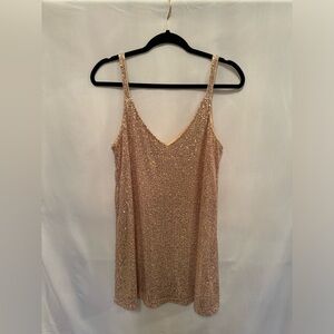 Sparkly Sequin V Neck Dress: Medium
